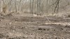 S1130004.jpg
