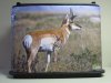 GameChanger Pronghorn Antelope after 500 shots.JPG