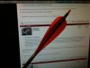 feather.jpg