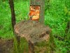 DSCN6055.jpg