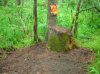 DSCN6052.jpg