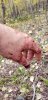 20200921_122212.jpeg