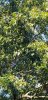20200925_164330.jpg