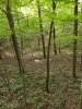 20200926_093155.jpg