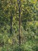 IMG_2577.JPG