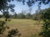 20200926_155325.jpg
