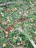 20200927_085628.jpg