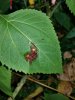 20200927_092025.jpg