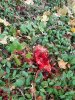 20200927_085639.jpg