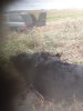 20200927_111614.jpg