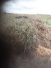 20200927_111143.jpg