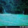 IMG_20200929_171457_045.jpg