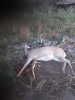 20200929_190843.jpg