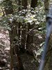 IMG_1382.jpg