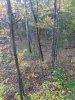 1601550070188.jpeg