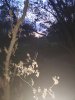20201001_065055.jpg