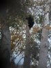 20201001_082731.jpg