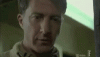 MinorWealthyAgama-size_restricted%20(1).gif