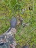 20201001_131243.jpg