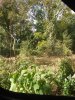 20201002_123639.jpg