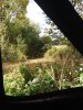 20201002_123626.jpg