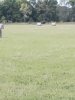 20201002_184844.jpg