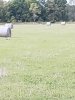 20201002_184847.jpg