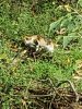 20201003_073059.jpg