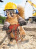 411B062D-5060-4F4E-84CA-C52D3E181F92.gif