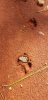 20201003_124456.jpeg