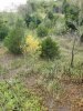 20201003_164529.jpeg
