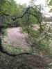 Image1601763424.522770.jpg