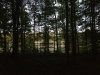 20201003_191038.jpg