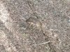 20201003_165511.jpg