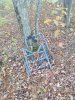 IMG_20201003_154434797.jpeg