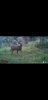 Screenshot_20201004-093547_USB Photo Viewer.jpg