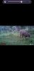 Screenshot_20201004-093609_USB Photo Viewer.jpg
