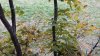 20201004_153132.jpg
