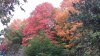 20201004_081745.jpg