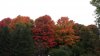20201004_081658.jpg