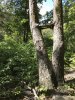 536E260D-4F6B-4D6F-9E14-3D65768D335B.jpeg