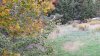20201004_162330.jpg