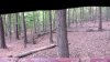 20201004_171111.jpg