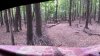 20201004_171104.jpg