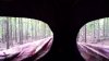 20201004_171024.jpg