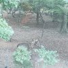 IMG_20201005_083659_704.jpeg
