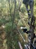 20201005_164844.jpg