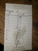 20201005_173251.jpg