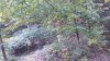 20201006_075308.jpg