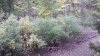 20201006_075236.jpg